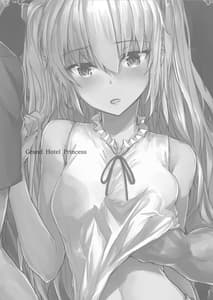 Page 2: 001.jpg | Grand Hotel Princess | View Page!