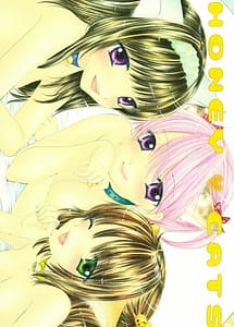 Read HONEY CATS with English Translation