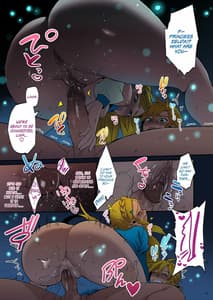 Page 14: 013.jpg | Hyrule Hanei no Tame no Katsudou! | View Page!