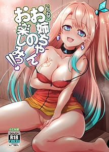 Read Ironeko Onee-chan no Otanoshimi!!