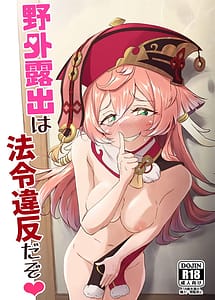 Read Its Against The Law To Expose Yourself Outdoors with English Translation