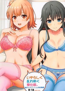 Read Iyarashiku Midare Saku Houshi-bu