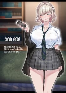 Page 2: 001.jpg | Jitsu wa Otaku-kun ni Amai Gyaru Tsuyome -Shotaiken- | View Page!