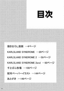 Page 4: 003.jpg | KARLSLAND ABSORB | View Page!