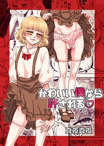 Read Kawaii bokunara yurusareru with English Translation