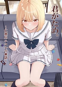 Page 1: 000.jpg | Kimi ga Tame. Ninakawa Nicole no Raihou | View Page!