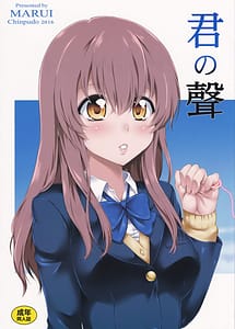 Read Kimi no Shou