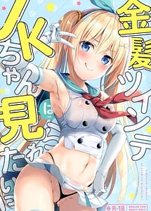 Read Kinpatsu Twinte JK-chan wa Miraretai!