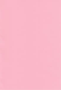 Page 2: 001.jpg | Koufukuron de Chucchucchu | View Page!