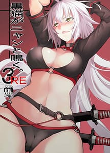 Read Kuroneko ga Nyan to Naku. 3RE with English Translation