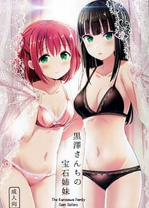 Read Kurosawa-san-chi no Houseki Shimai with English Translation