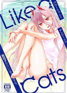 Read Like a Cats with English Translation