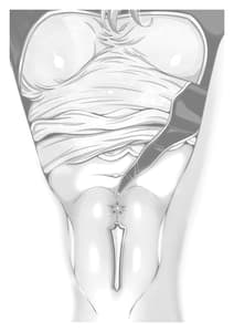 Page 3: 002.jpg | Madoromi Seijo -Iyashi no Sei Ana- | View Page!