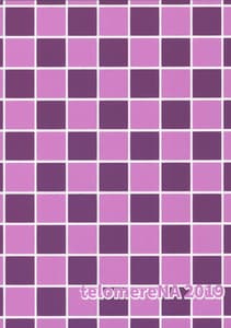 Page 14: 013.jpg | Maid Shujuu Lovers Okawari | View Page!