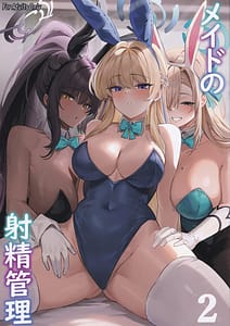 Page 1: 000.jpg | Maid no Shasei Kanri 2 | View Page!