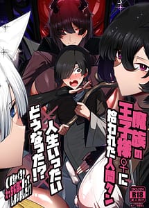 Read Mazoku no Ouji-sama ni Hirowareta Ningen-kun Jinsei Ittai Dou Natta! Omake