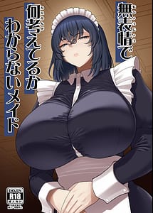 Read Muhyoujou de Nani Kangaeteru ka Wakaranai Maid