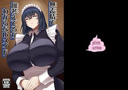 Page 1: 000.jpg | Muhyoujou de Nani Kangaeteru ka Wakaranai Maid | View Page!