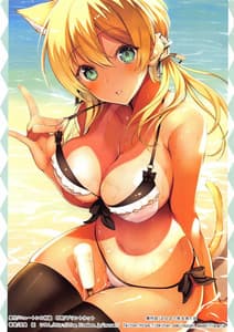 Page 15: 014.jpg | N s A Colors 13 | View Page!