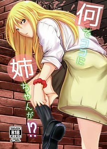 Read Nande Koko ni Nee-chan ga!