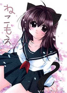 Read Neko Moe with English Translation