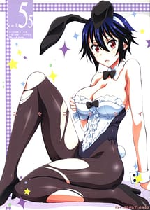 Read Nisenisekoi 5.5 with English Translation
