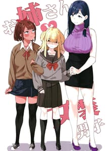 Page 14: 013.jpg | Oneesan to Josou Danshi | View Page!