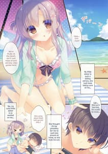 Page 4: 003.jpg | Onii-chan Osewa wa Watashi ni Makasete ne 3 | View Page!