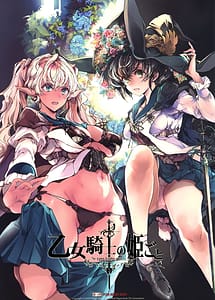 Read Otome Kishi no Himegoto with English Translation