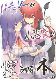 Read Patchouli ga Koakuma ni Shiborareru Hon