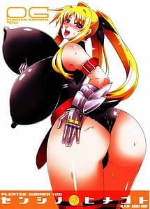 Read Pleated Gunner 20 Senshi no Himegoto with English Translation