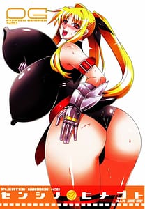 Page 1: 000.jpg | Pleated Gunner 20 Senshi no Himegoto | View Page!