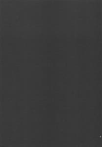 Page 2: 001.jpg | RICHELIEU MON AMOUR | View Page!