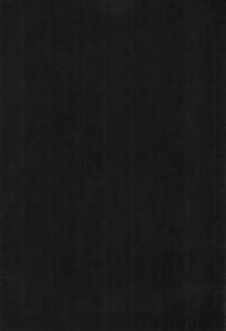 Page 3: 002.jpg | Rance 4P | View Page!