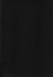 Page 4: 003.jpg | Rance 4P | View Page!