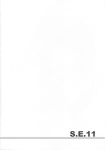 Page 3: 002.jpg | S.E.11 | View Page!