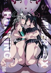 Page 1: 000.jpg | SUMMER FOX HUNTING | View Page!