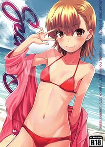 Read Secret Beach with English Translation