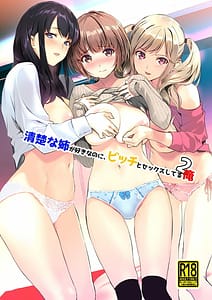 Page 1: 000.jpg | Seiso na Ane ga Suki nanoni Bitch to Sex Shiteru Ore 2 | View Page!