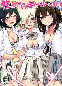 Read Seiyoku Tsuyotsuyo Gyarugasaki! with English Translation