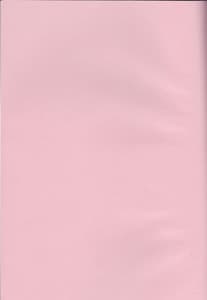 Page 2: 001.jpg | Senchou no Iu Toori | View Page!