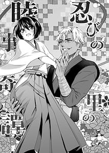 Page 4: 003.jpg | Shinobi no Sato no Mutsu-goto Kitan | View Page!