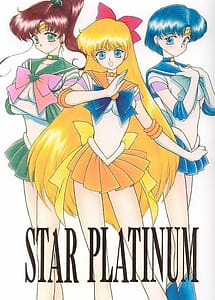 Read Star Platinum with English Translation