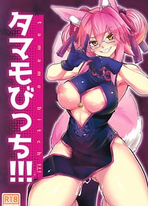 Read Tamamo Bitch!!! with English Translation