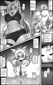 Page 14: 013.jpg | Tengeki Shougun Kaihatsu Nikki | View Page!