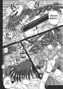 Page 8: 007.jpg | V-TIC 40 | View Page!