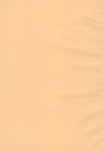 Page 3: 002.jpg | White Azalea | View Page!