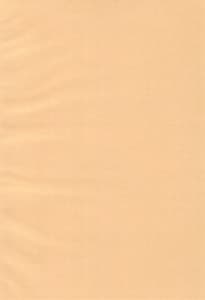 Page 4: 003.jpg | White Azalea | View Page!