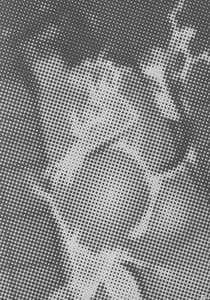 Page 3: 002.jpg | Yoruneko-san no Shunkou Raijuu Ikaryaku | View Page!