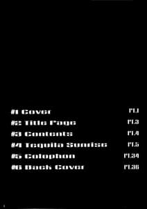 Page 3: 002.jpg | ZONE 36 Tequila Sunrise | View Page!